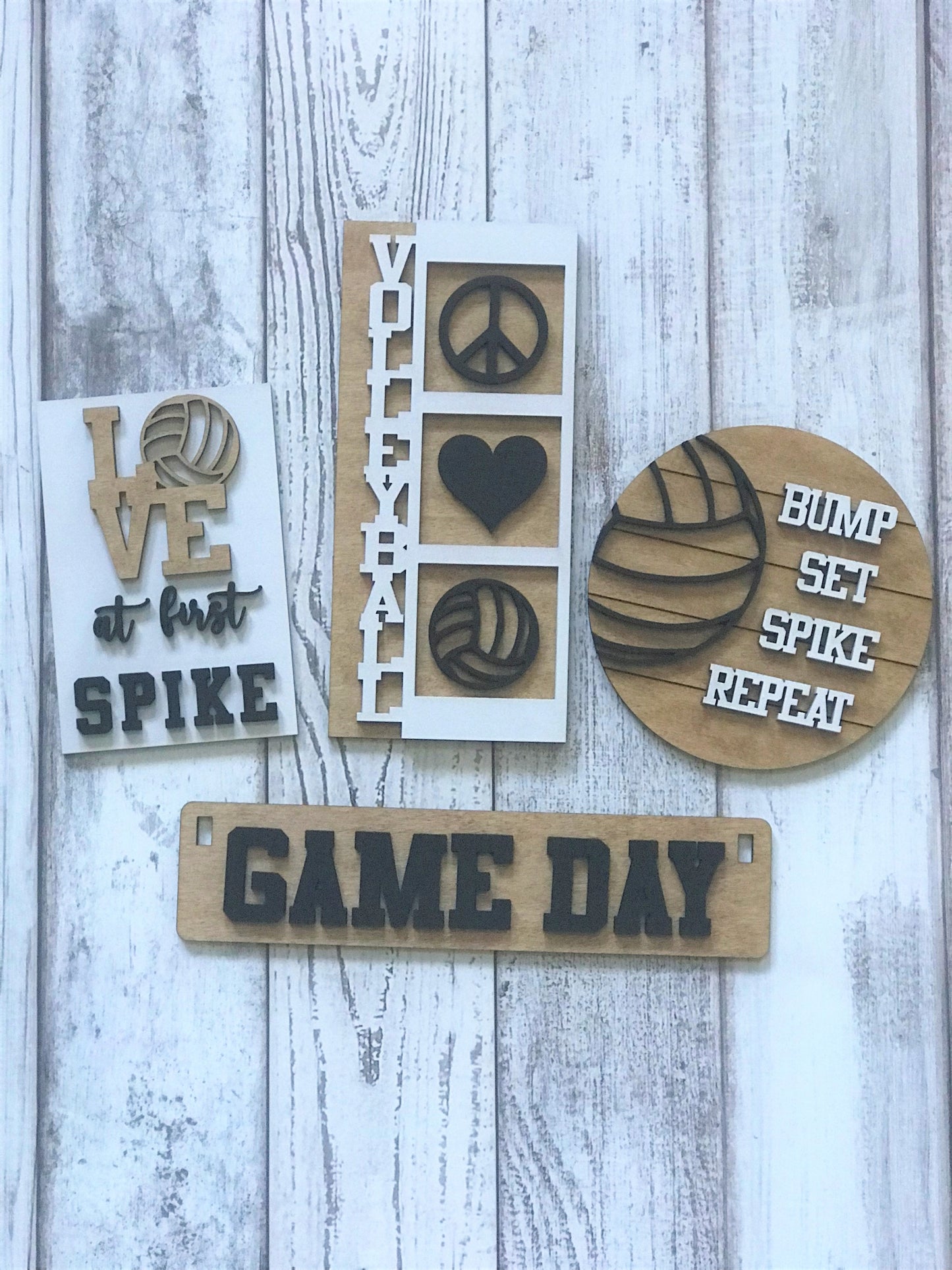 Volleyball Interchangeable Set