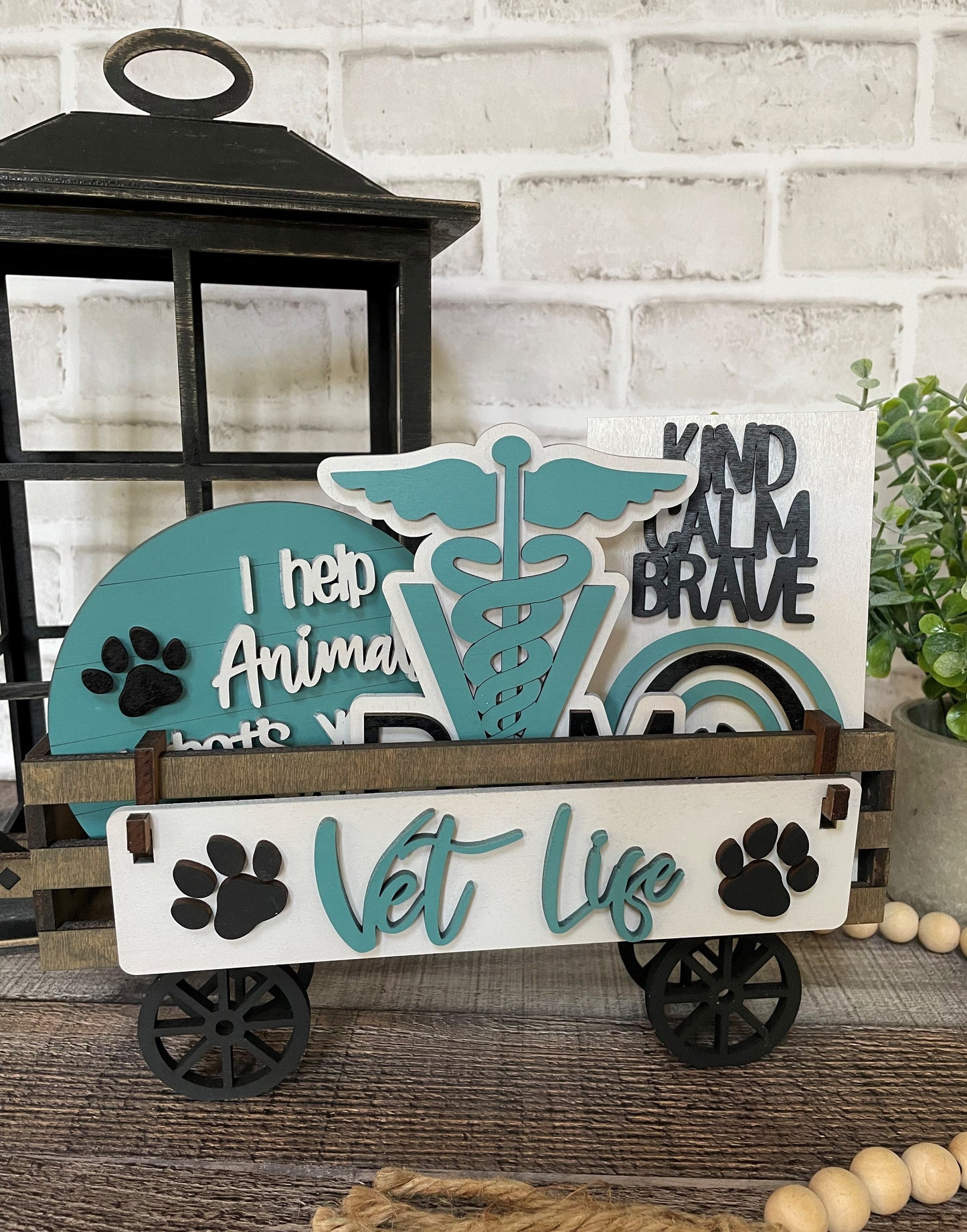 Veterinarian Interchangeable Set