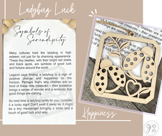 Ladybug Luck Story Charm