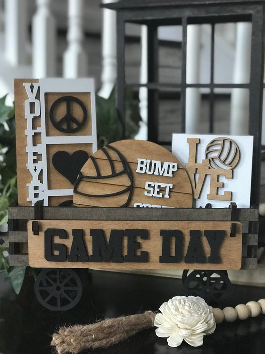 Volleyball Interchangeable Set