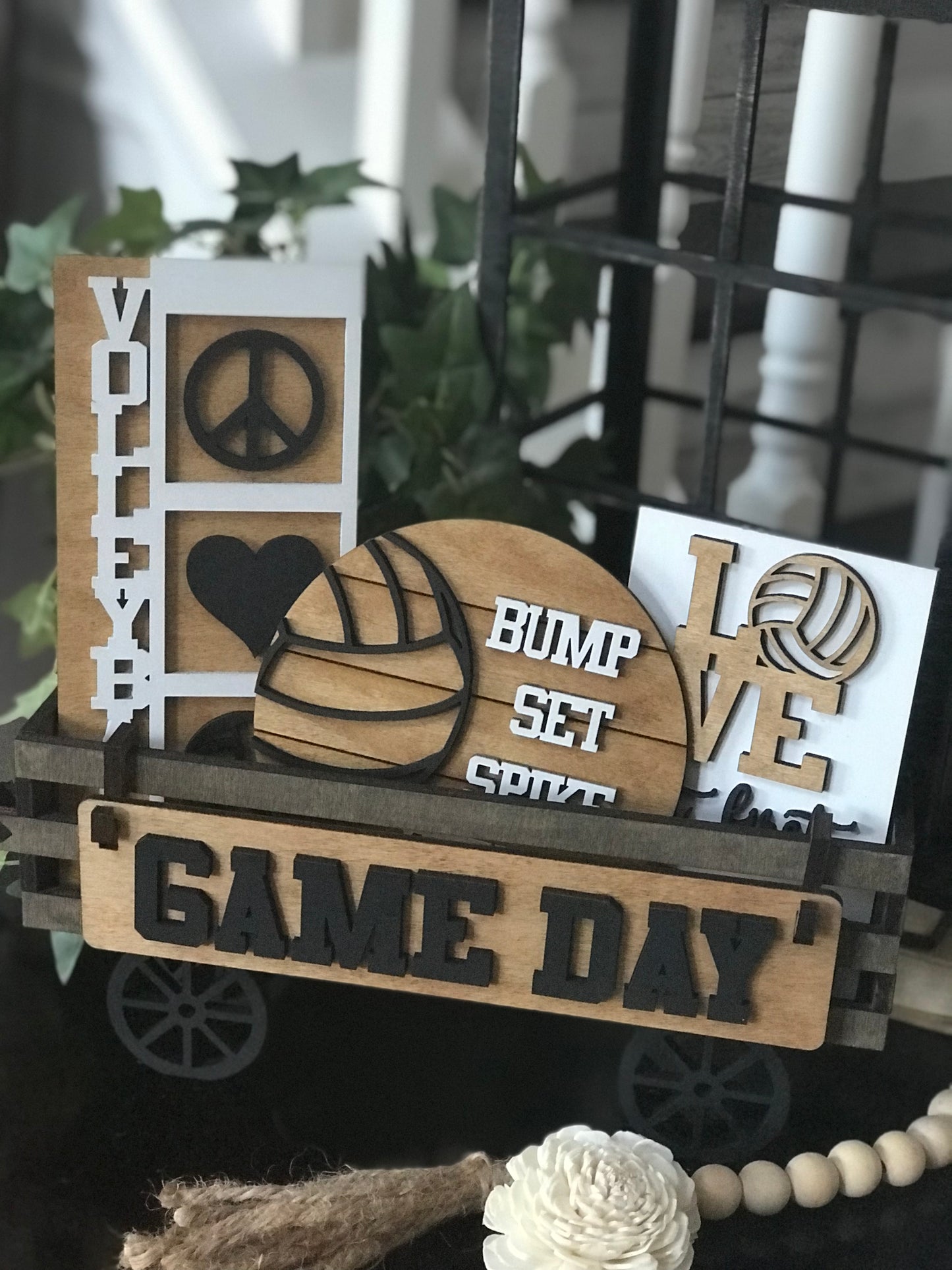 Volleyball Interchangeable Set